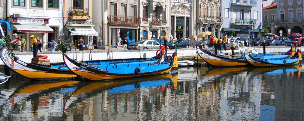 NIKON D60 part 3 of 11-49.jpg